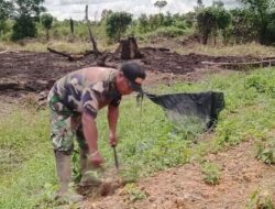 Babinsa Koramil Sangatta Pantau Pelaksanaan Ketahanan Pangan di Desa Kebun Agung