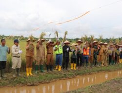 Pemkab Dukung Hasil Panen