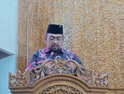 Silpa Triliunan, Fraksi PDIP Khawatir