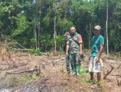 Antisipasi Karhutla, Babinsa Koramil Muara Ancalong Rutin Sosialisasi dan Patroli