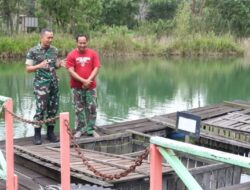 Wujudkan Ketahanan Pangan, Dandim 0909/KTM Cek Kolam Ikan dan Ternak Ayam