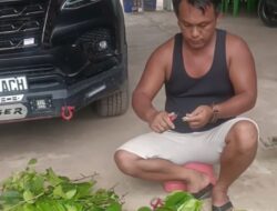 Kembangkan Buah Lokal
