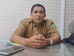 Capaian dan Perjuangan Program DP3A di Tahun 2024