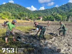 TNI Bersama Masyarakat Gelar Gotong Royong untuk Ketahanan Pangan di Distrik Batom